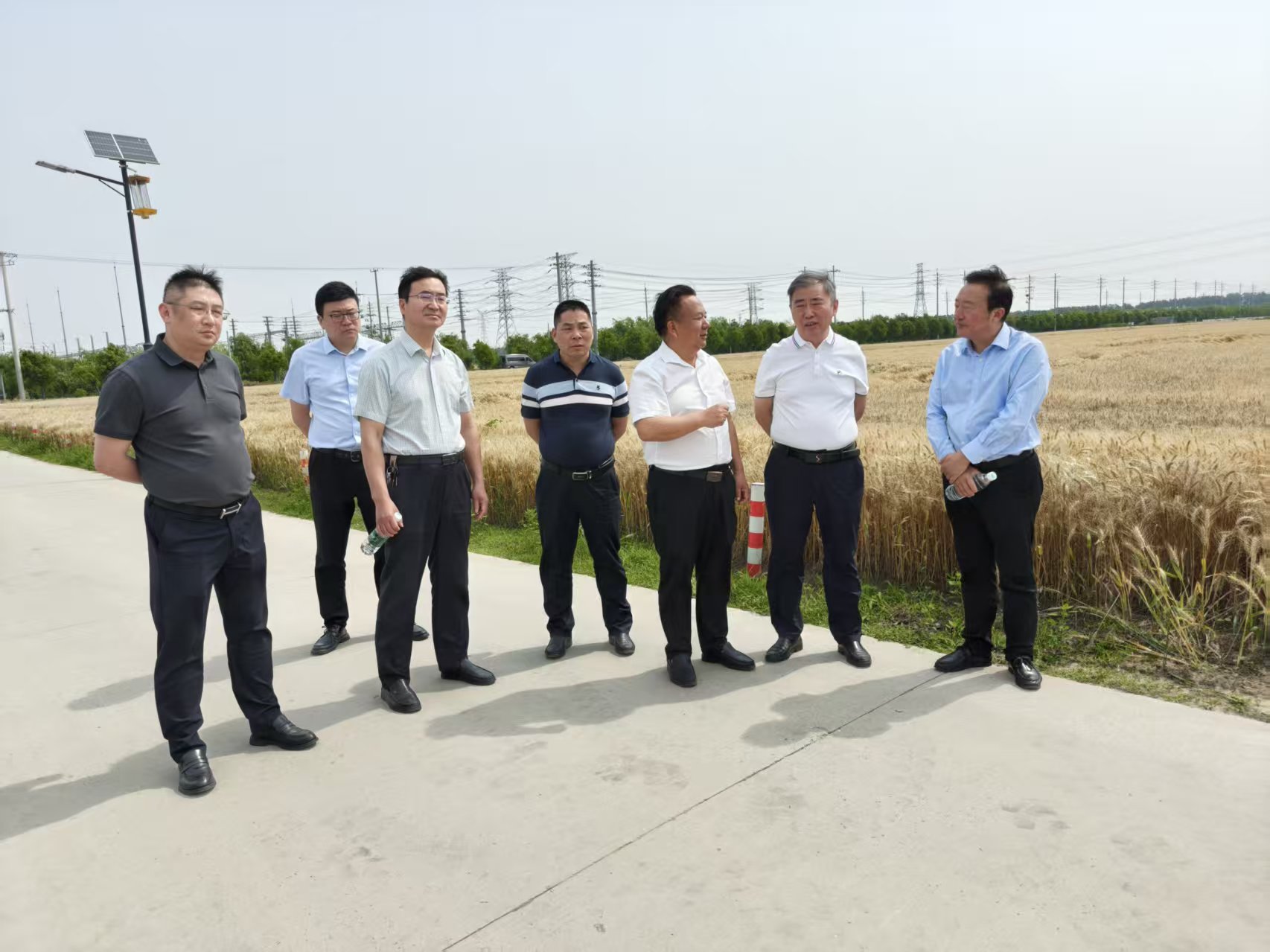 王吉富二级巡视员赴南通市调研夏粮收购工作