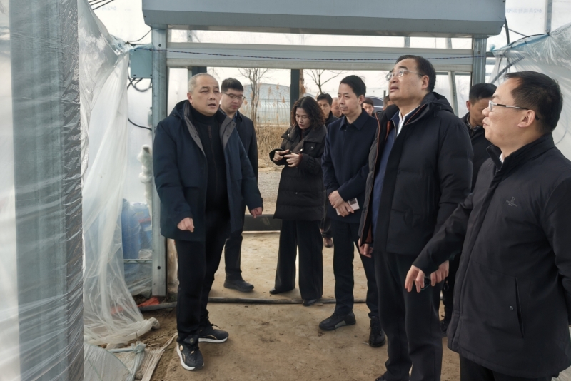 董淑广副局长赴丰县开展乡村振兴调研慰问活动