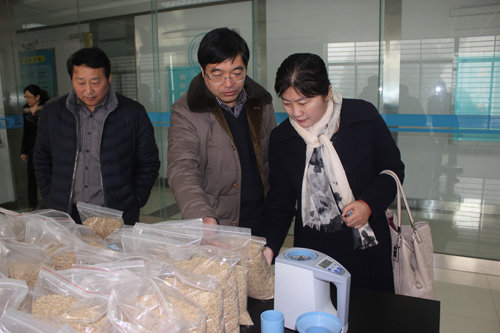 宿迁市粮食局王君文局长赴粮食物流园区开展调研
