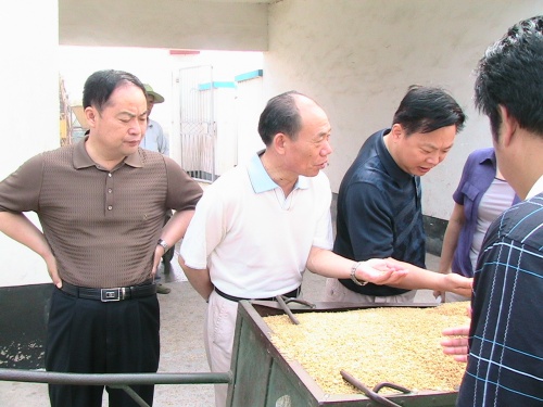 省粮食局严长俊副局长在盐调研夏粮收购工作