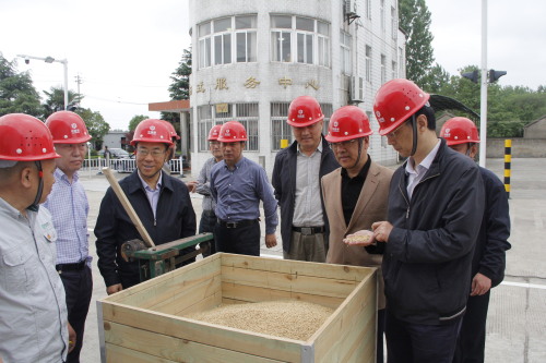 江苏省粮食和物资储备局 行业动态 韩峰副巡视员督导扬州市政策性粮食